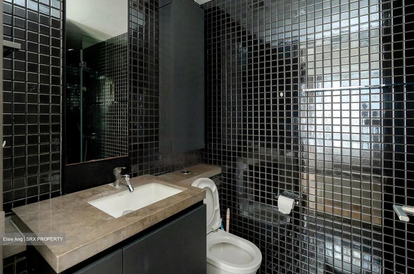 Skysuites@Anson (D2), Apartment #483306561